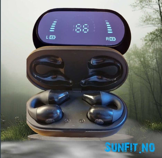 Audio Clip  Ørepropper  S03